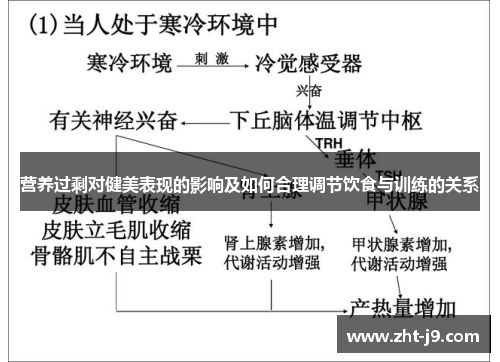 营养过剩对健美表现的影响及如何合理调节饮食与训练的关系